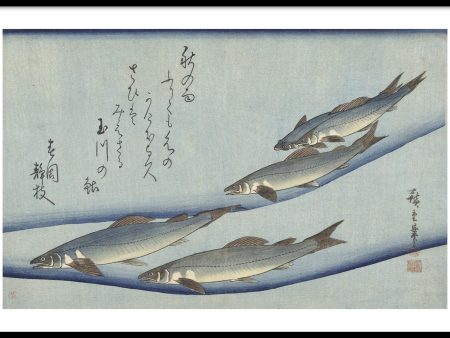 Utagawa Kuniyoshi - Trout For Cheap