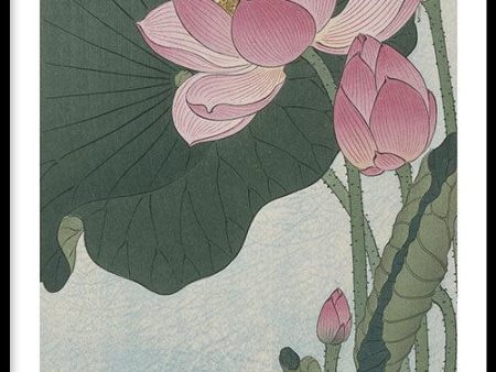 Ohara Koson - Lotus Flower Hot on Sale