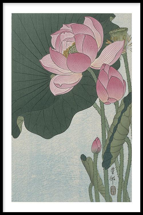 Ohara Koson - Lotus Flower Hot on Sale