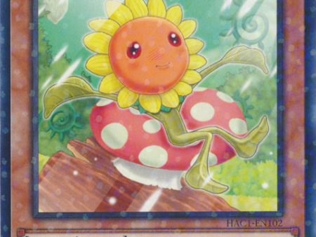 Naturia Sunflower (Duel Terminal) [HAC1-EN102] Parallel Rare For Cheap