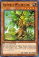 Naturia White Oak (Duel Terminal) [HAC1-EN115] Parallel Rare For Cheap