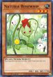 Naturia Rosewhip (Duel Terminal) [HAC1-EN099] Parallel Rare For Discount