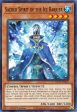 Sacred Spirit of the Ice Barrier [HAC1-EN045] Common on Sale