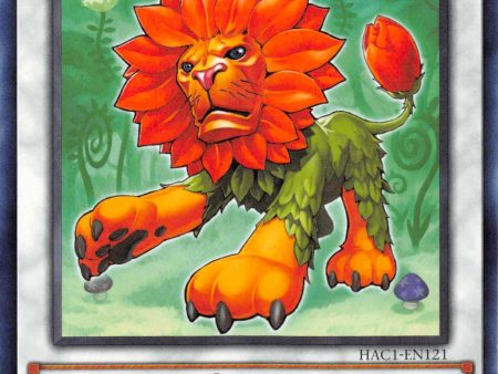 Naturia Leodrake [HAC1-EN121] Common Sale