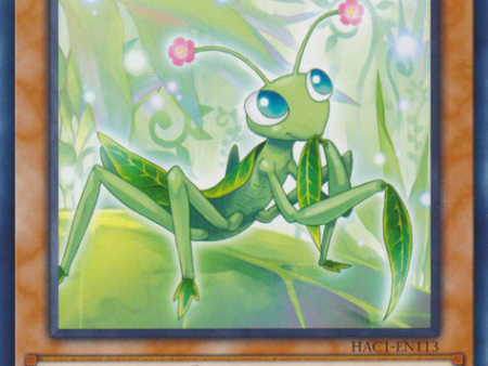 Naturia Mantis [HAC1-EN113] Common Fashion