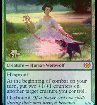 Avabruck Caretaker    Hollowhenge Huntmaster [Innistrad: Crimson Vow Prerelease Promos] Online