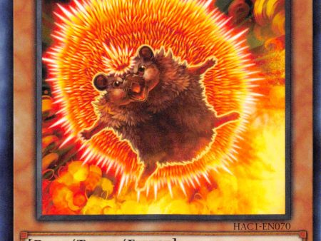 Neo Flamvell Hedgehog [HAC1-EN070] Common Online Hot Sale