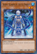 Secret Guards of the Ice Barrier [HAC1-EN048] Common Supply