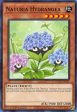 Naturia Hydrangea [HAC1-EN107] Common Discount