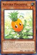 Naturia Pineapple (Duel Terminal) [HAC1-EN118] Parallel Rare Online now